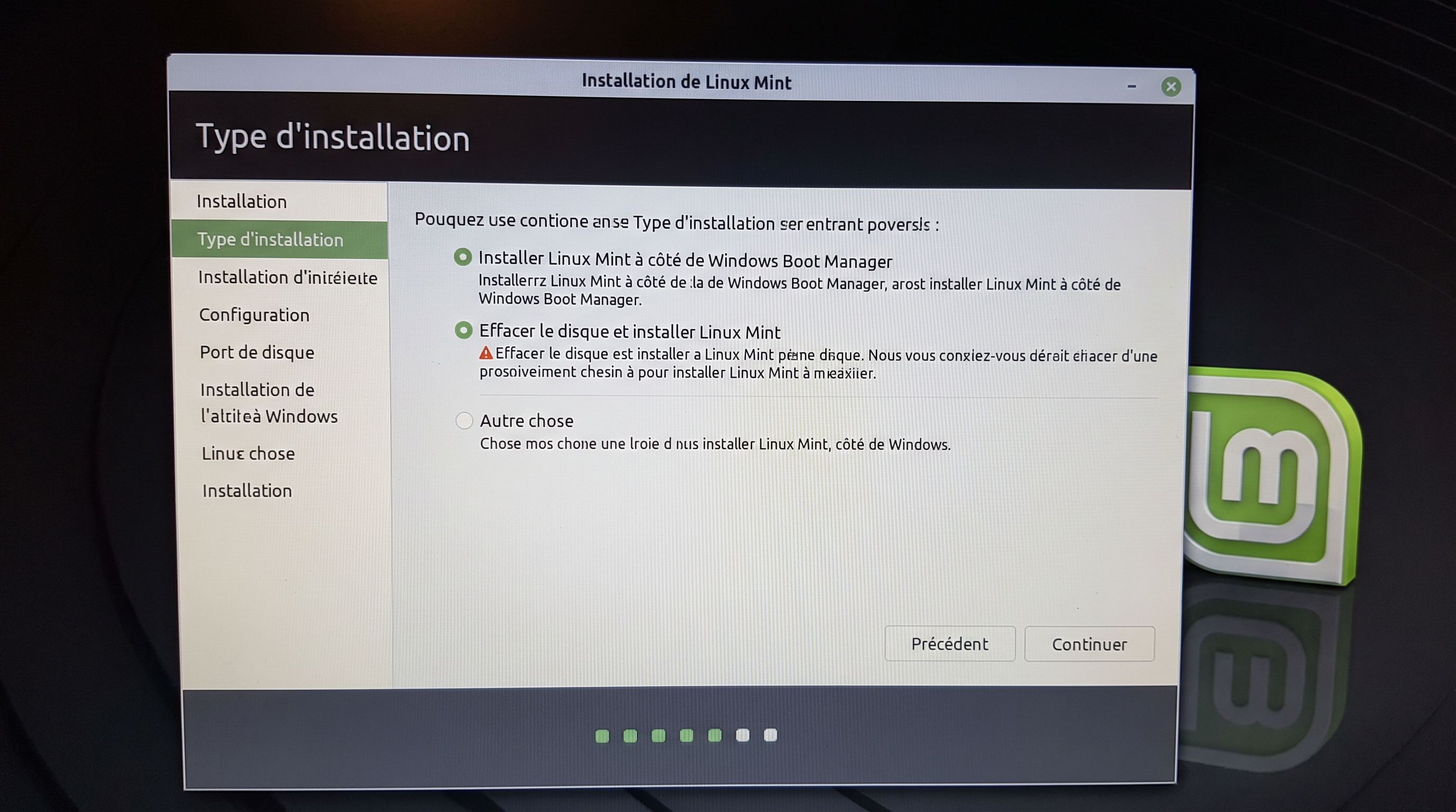 Capture d'écran de l'installateur Linux Mint montrant les options d'installation : à côté de Windows, effacer le disque, autre chose.