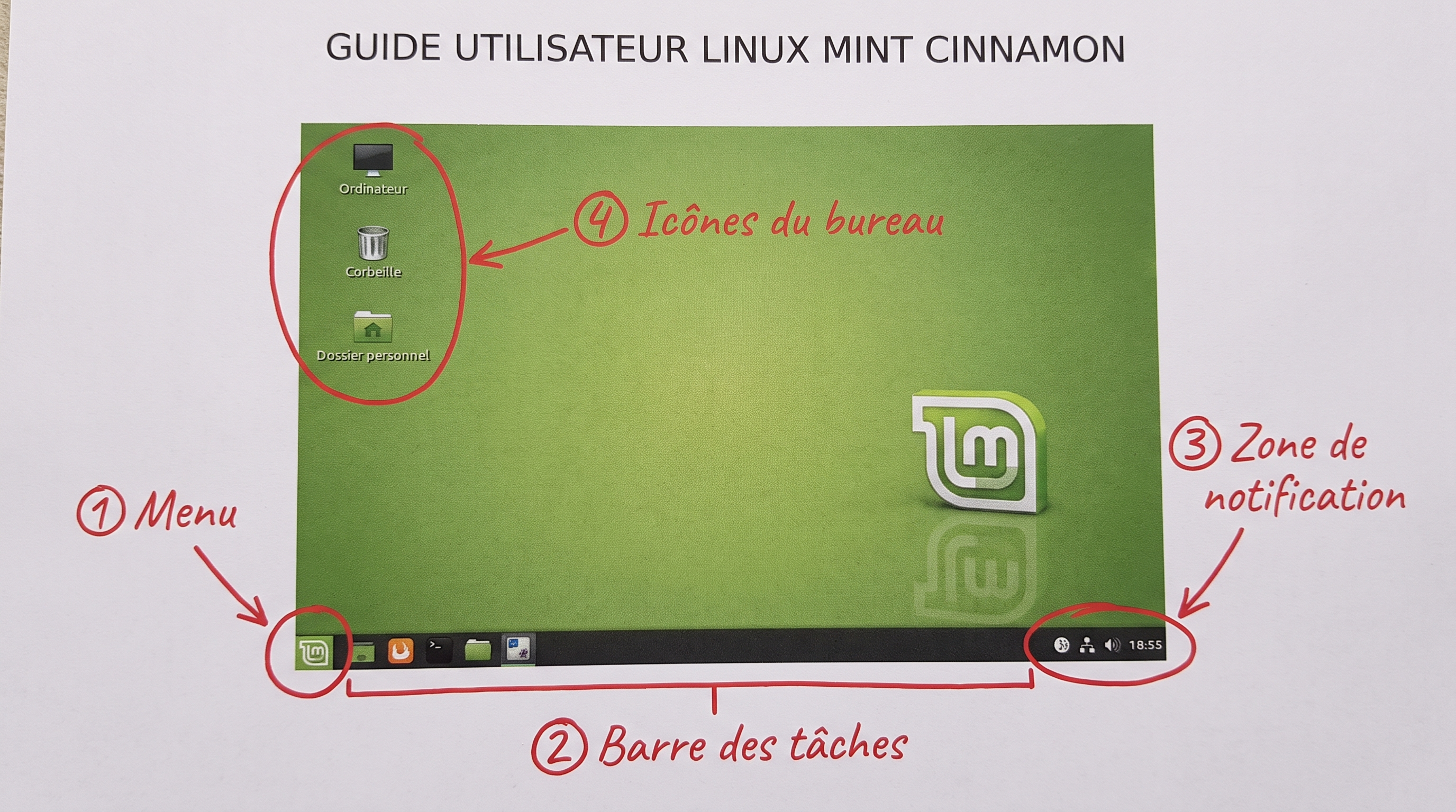 Bureau Linux Mint Cinnamon annoté : ① Menu, ② Barre des tâches, ③ Zone de notification, ④ Icônes du bureau — numéros clairs, style guide utilisateur.